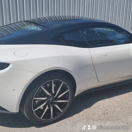 Vopsire în câmp electrostatic